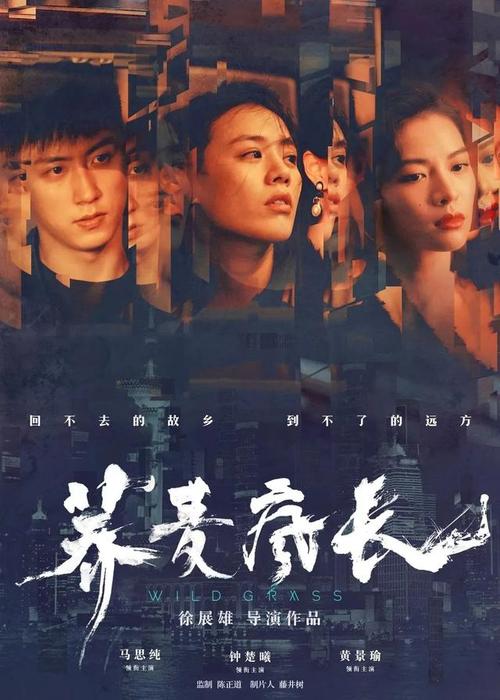 作假欧柏林大学毕业证